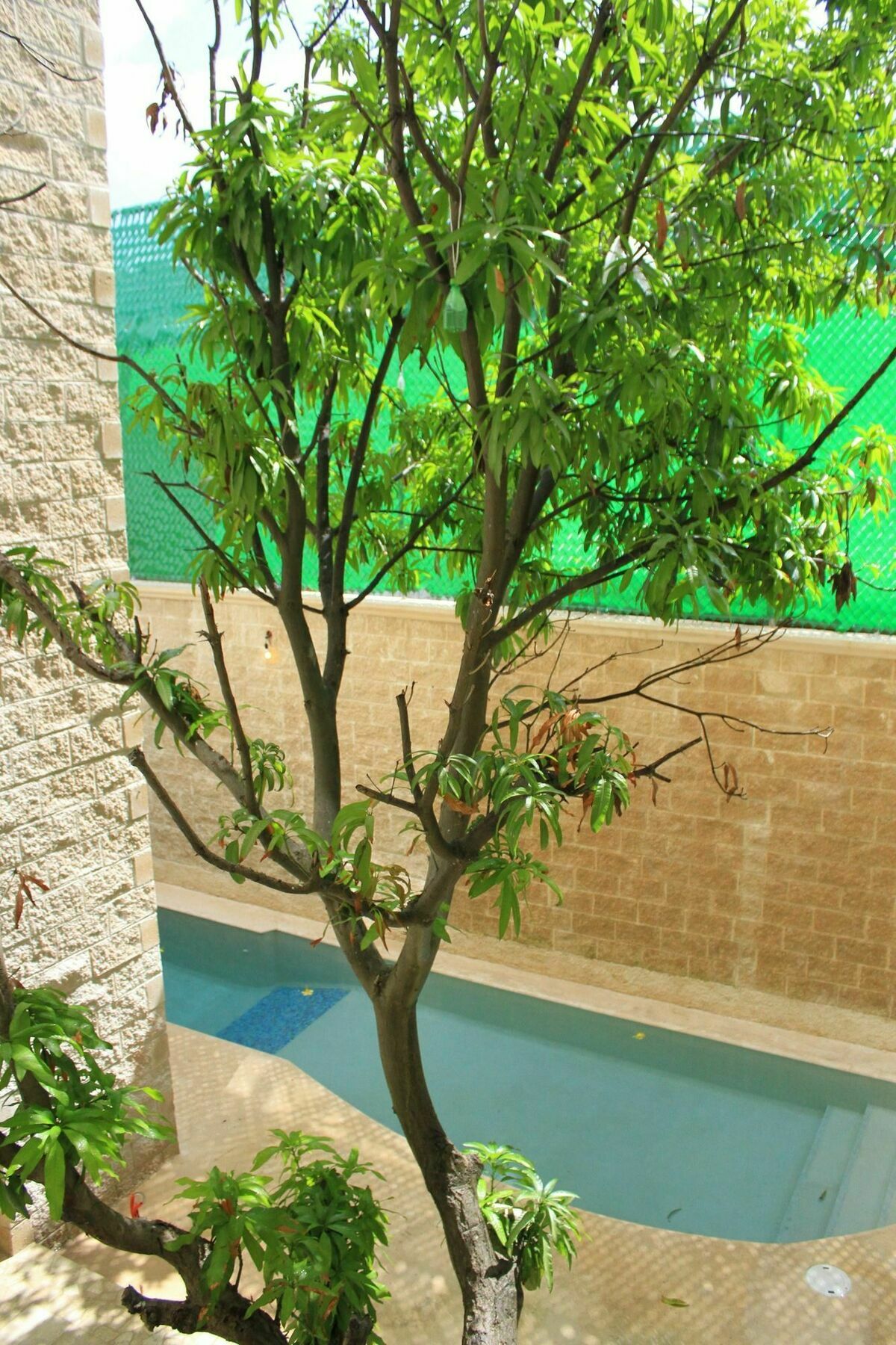 Angelo'S Hotel Playa del Carmen Dış mekan fotoğraf