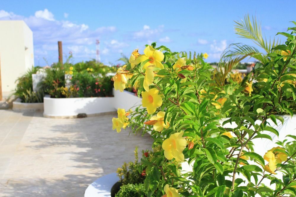 Angelo'S Hotel Playa del Carmen Dış mekan fotoğraf